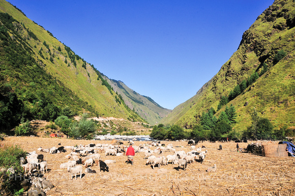 Guerilla Trek Nepal